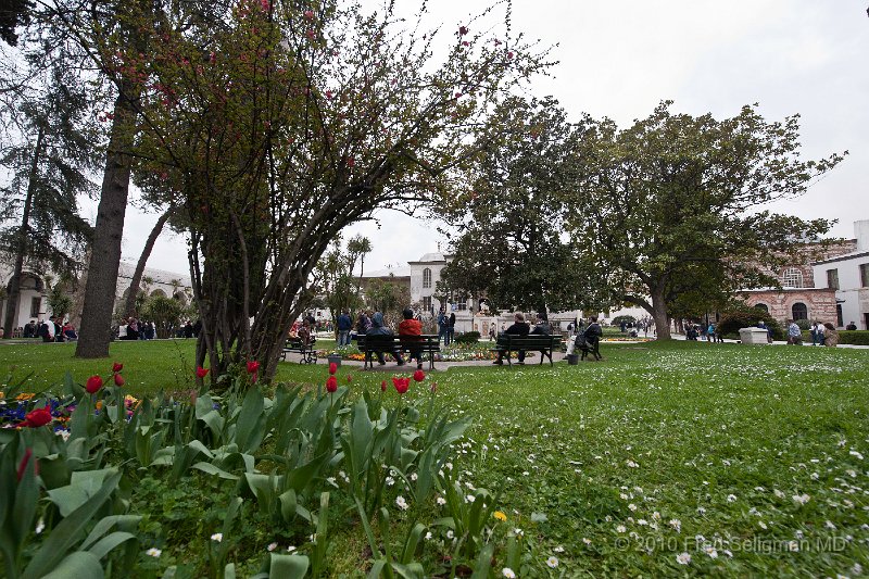 20100402_155616 D3.jpg - Tulips in gardens of Topkapi Palace Palace